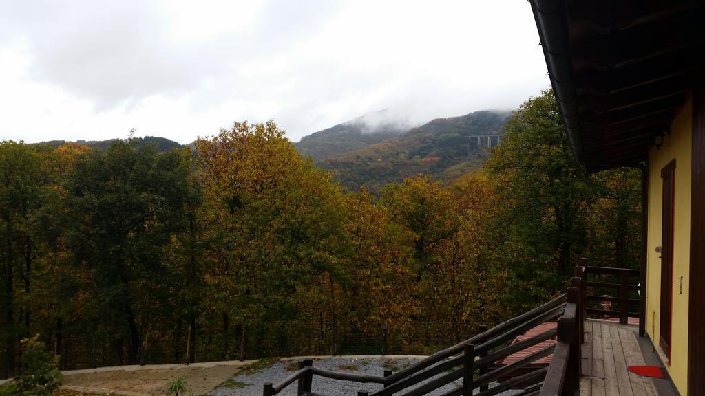 Double Room,230896402:JPEG